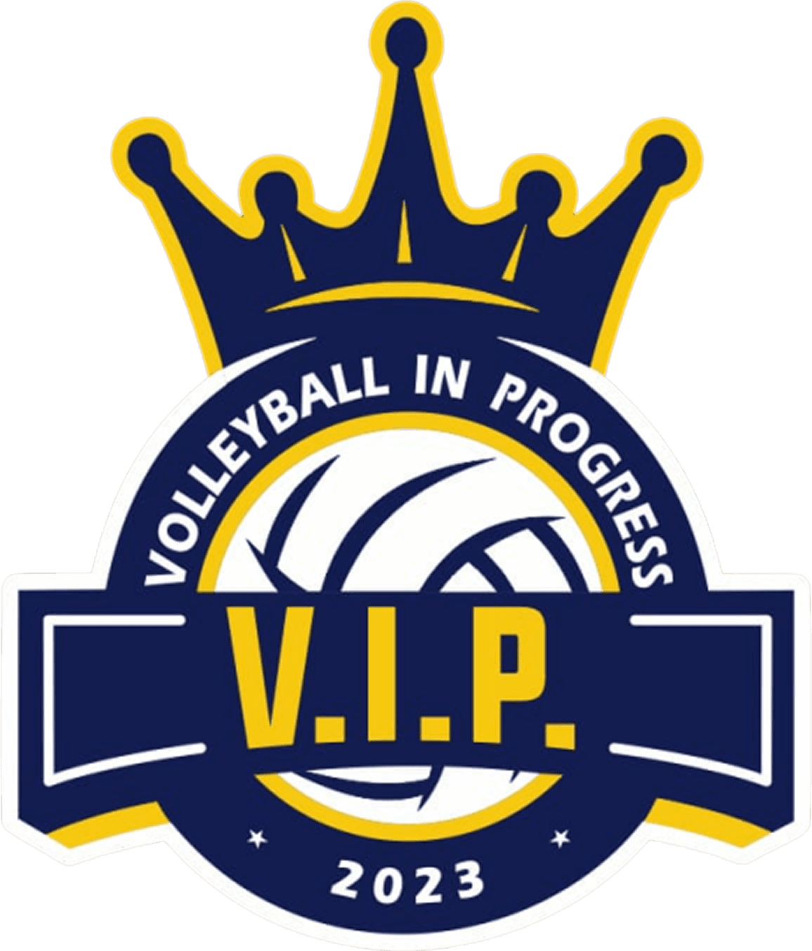 Volleyball In Progress