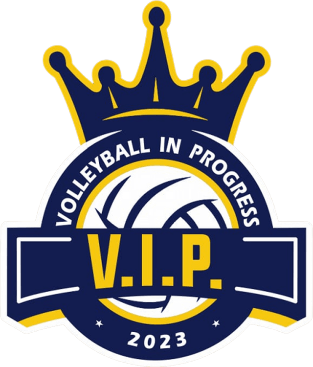 Volleyball In Progress