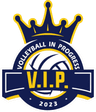 Volleyball In Progress